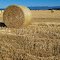 Montana Hay Field ...09.13.12