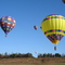Carolina Balloon Fest