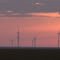 Roscoe, TX wind farm at sunset