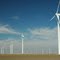 Roscoe Windfarm