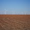 Texas wind farm