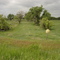 Old Railway roadbed