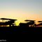 Stearman Flyin