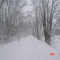 The OldErie Canal