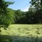 Knob Noster State Park - Sullivan Lake