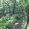 Knob Noster State Park - Opossum Hollow Trail