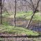 Winter trees at Knob Noster State Park