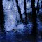 Creek -- Reflections in Blue Twilight