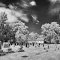 Richland Lutheran Cemetery