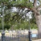 Masonic Cemetery