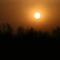Sunrise Lake San Rayburn (Needmore)