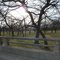 nice park