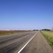 dimmitt from afar