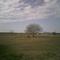 Sinton, Texas
