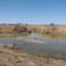 Unión del río Bravo y el río Conchos (cerca de Ojinaga, Chih.)