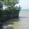 Van Buren Point
