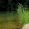 Pedernales River