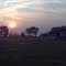 Fire Camp sunrise 6/4/11