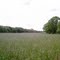 state land field