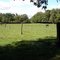 pasture