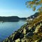 Thorne Bay's Rocky Shores