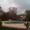 Our backyard