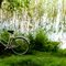 Let's go to take a bike trip :)) - to MarioTs