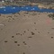 Elephant Butte Beach