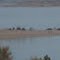 Elephant Butte Lake