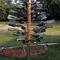 Bottle Tree, Red mountain Road