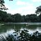 Central Park: lost in GREEN