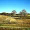Hoosier Drought November 2010