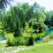 Backyard Paradise