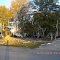 The day after Halloween