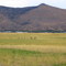 Antelopes and Black Cap looking East