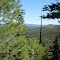 Trail out of Lakeview