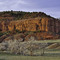 Red Butte (looking NNE)