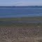 Whale jawbone on Sandy Beach - McNeil Island, WA