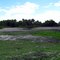Jeep trail in the middle of nowhere