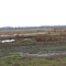 St Johns River flats