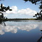 Pine Island Creek