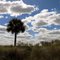 Clouds Over St Johns River Area