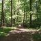 Symmes Park trail & dog run