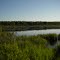 Saindon Road Beaver Pond