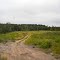 Logging road through clearcut