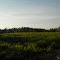 Looking West across clearcut