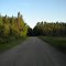 Honey Road