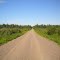 Coffee Creek Road (looking East)