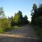 Swamp Road
