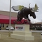 If A Moose Had Wings...